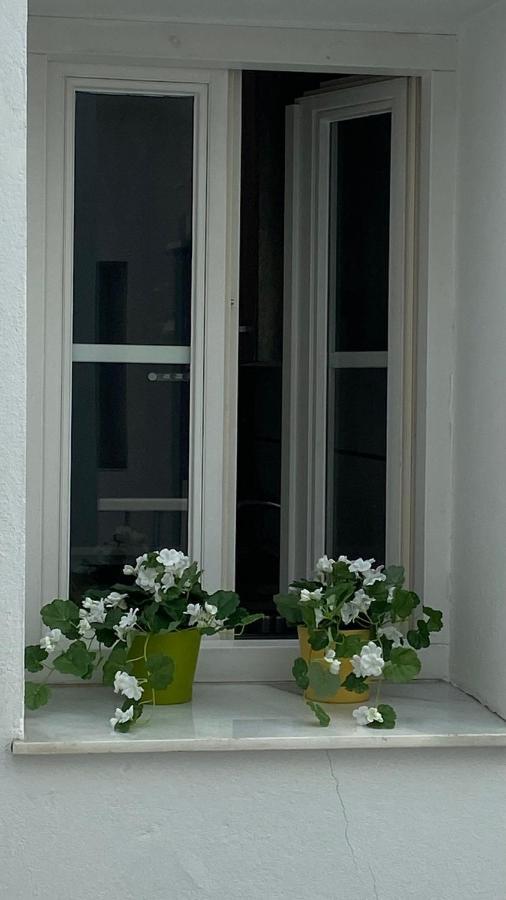 Hope'S Atico-Apartamento Cadiz Dış mekan fotoğraf